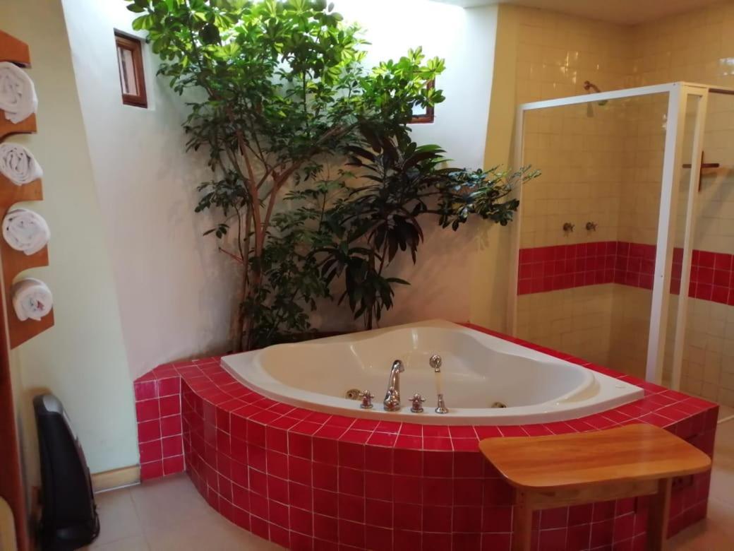 Casa Tsaya Hotel Boutique Bernal Ngoại thất bức ảnh